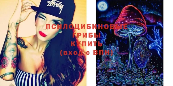 спайс Алзамай