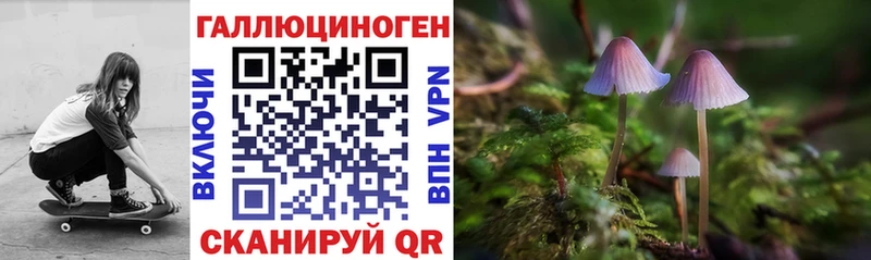 даркнет официальный сайт  закладки  ссылка на мегу рабочий сайт  Балей  Галлюциногенные грибы прущие грибы 