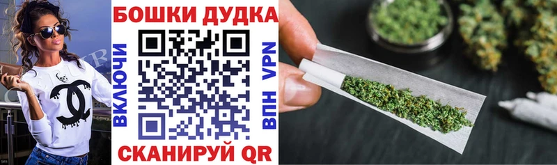 Бошки Шишки сатива  купить наркотик  Балей 